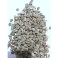 Civet Coffee